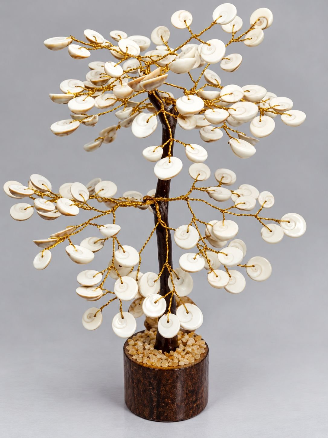 Gomti chakra Tree New