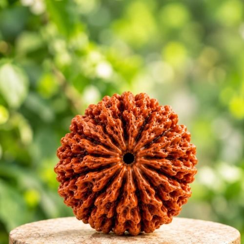 Das Mukhi Rudraksh