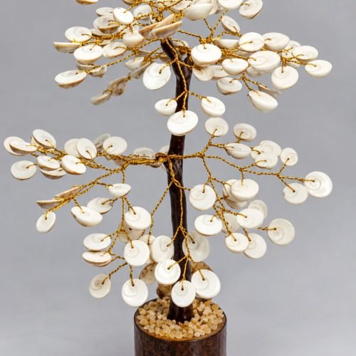 Gomti chakra Tree