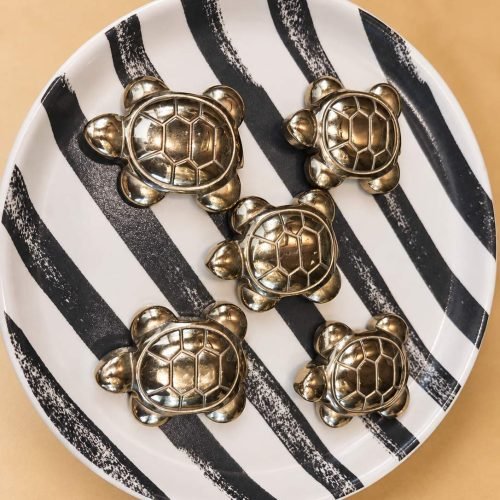 Tortoise -Pyrite(Wealth and Prosperity)